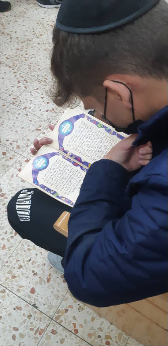 תמונה19