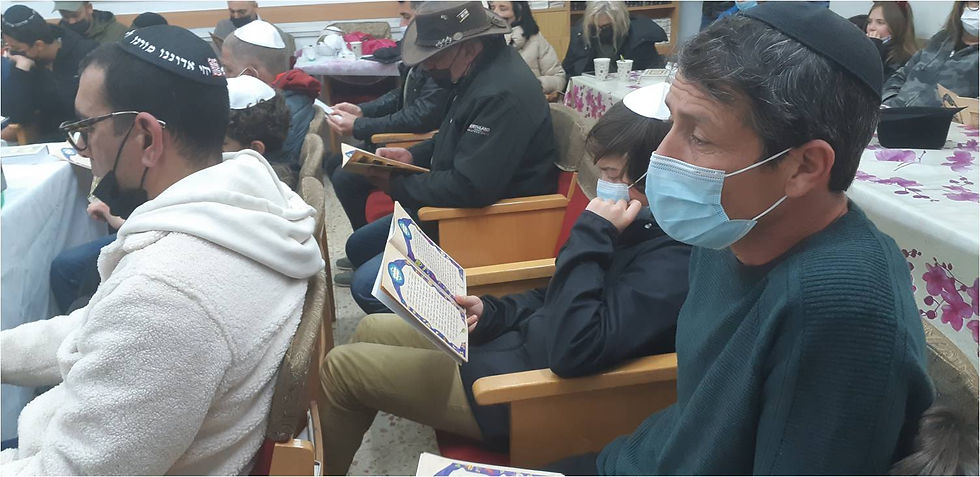 תמונה41