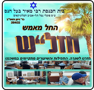 חזלש2.jpg