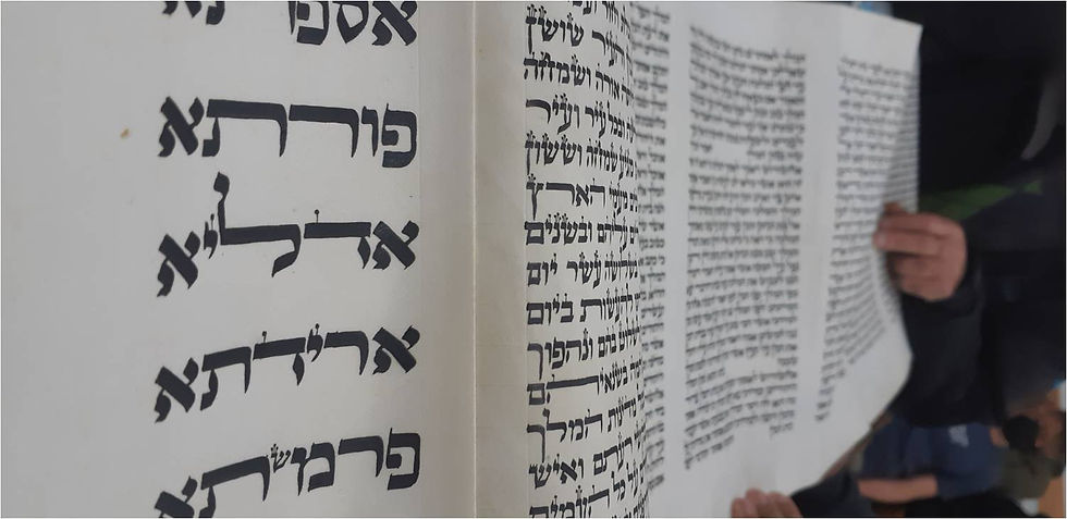 תמונה34