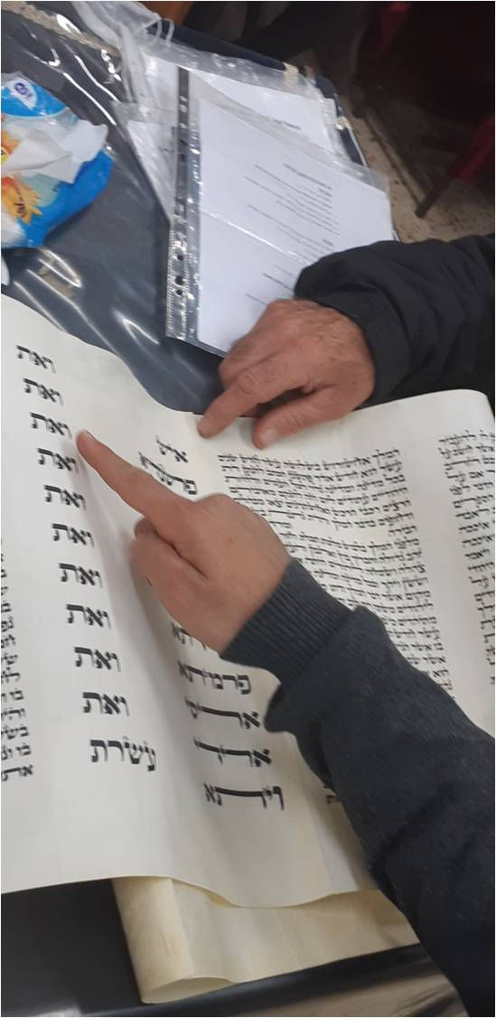 תמונה17