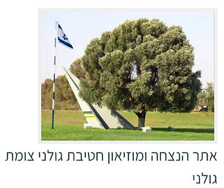תמונה8.jpg