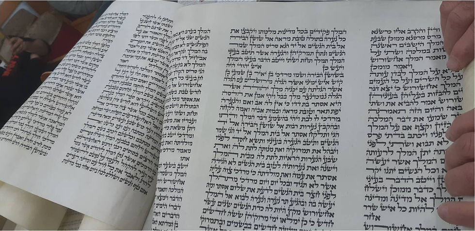 תמונה28