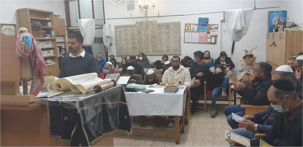 תמונה31