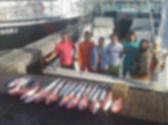 Limit of Snapper and Kings