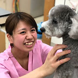加藤 亜美(トリマー).jpeg