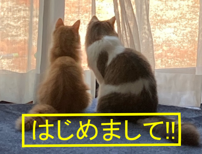 新入社員紹介!!