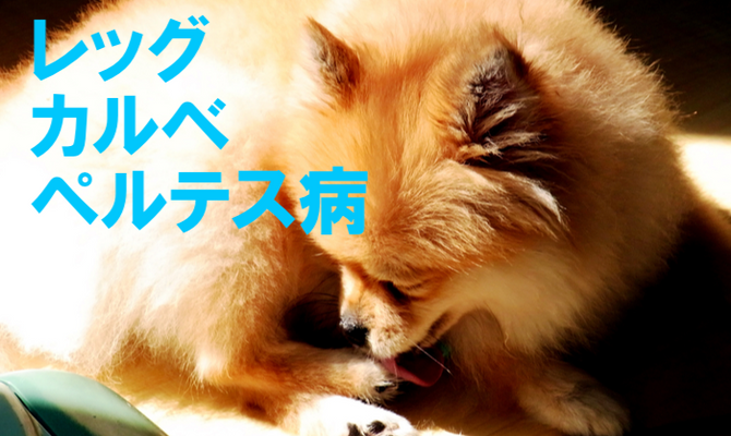 レッグ・カルベ・ペルテス病