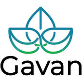 gavan.jpg