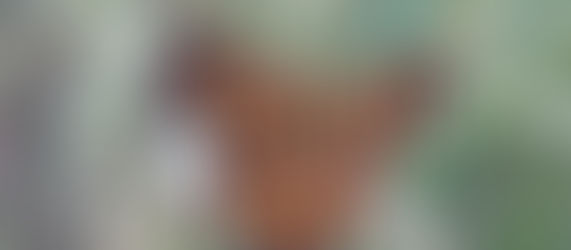 Peace, tribulation and victory