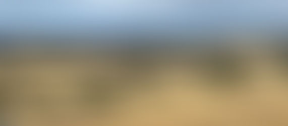 Zelophehad’s daughters