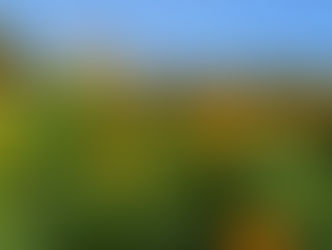 God still does great works