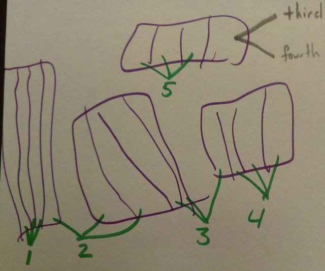 Parker's drawing for a 5 ÷ 3/4 story problem