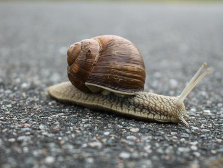 Health Care’s Growth Engine is Slowing Down: Are You Prepared for the Shift?