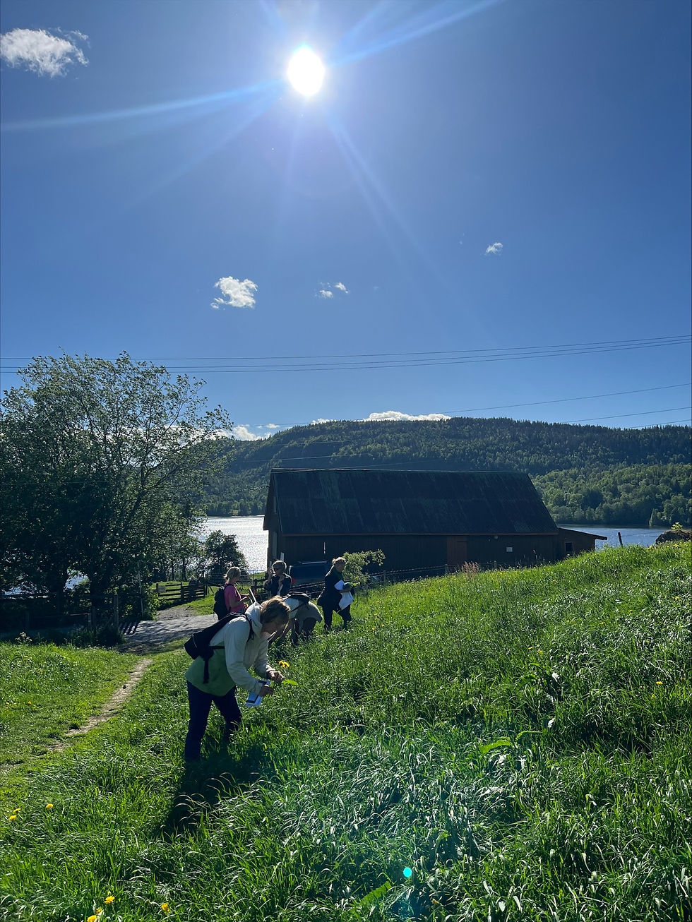Urtevandring i Asker i Mai