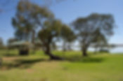 dsc0394.jpg