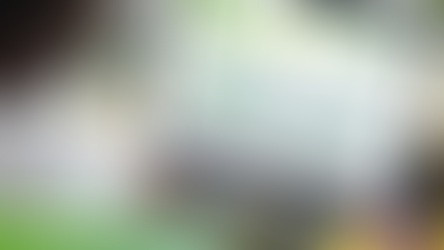 Todo sobre los registros posteriores a tu proceso: SIRE y RUTEC.