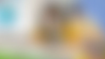 La reactivación académica y las medidas que han tomado las instituciones educativas.