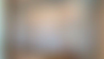 海外輸入壁紙テシード