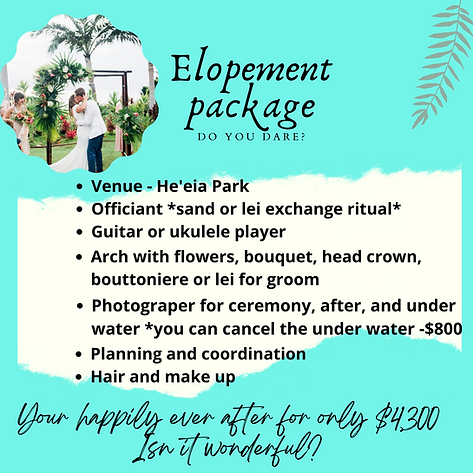 ELOPEMENT hawaii
