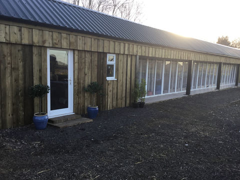 Outside Cattery.jpeg