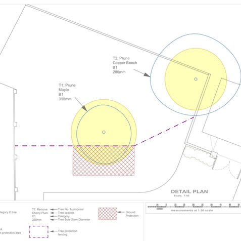 Planning Compliant Tree Survey, Arboricultural Impact Assessment and Tree Protection Plan