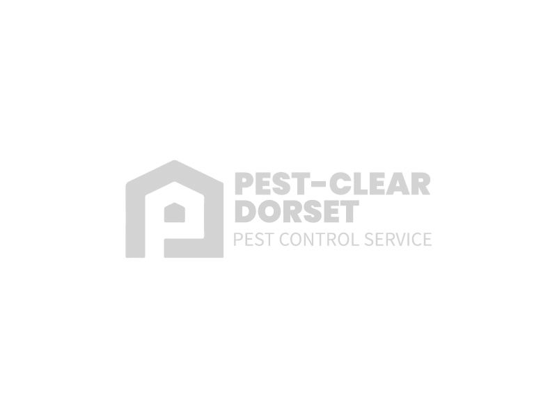 Pest Clear Dorset full logo_edited.jpg