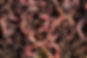 image7.jpeg