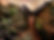 image0 (2).jpeg