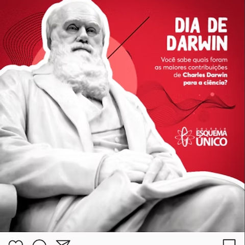 Social Post