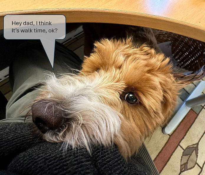 walk time reminder.JPG