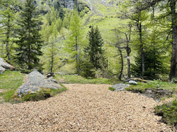 Place tente