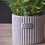 Thumbnail: Artificial Flower Arrangement in Ceramic Pot for Home Decor