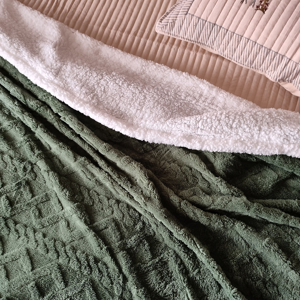 Thumbnail: Metropolis Sherpa Blanket cum Quilt Cover