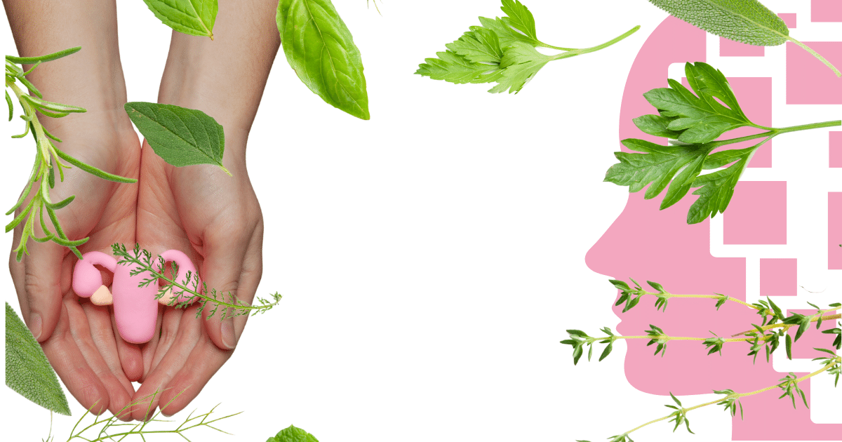 site wix e (1200 × 630 px) (2).png
