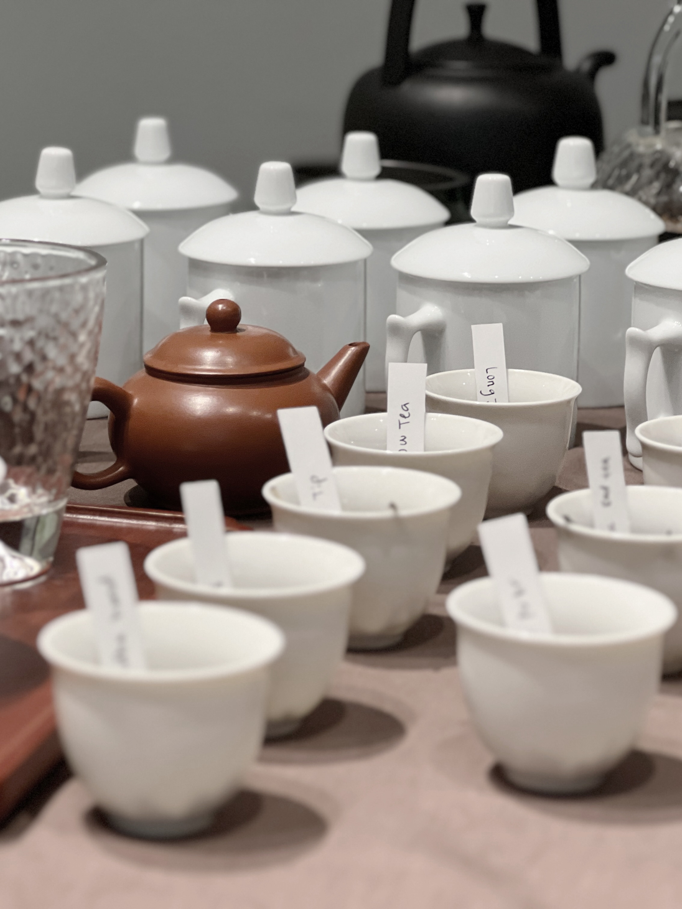 Beginner Tea Class 初阶茶学