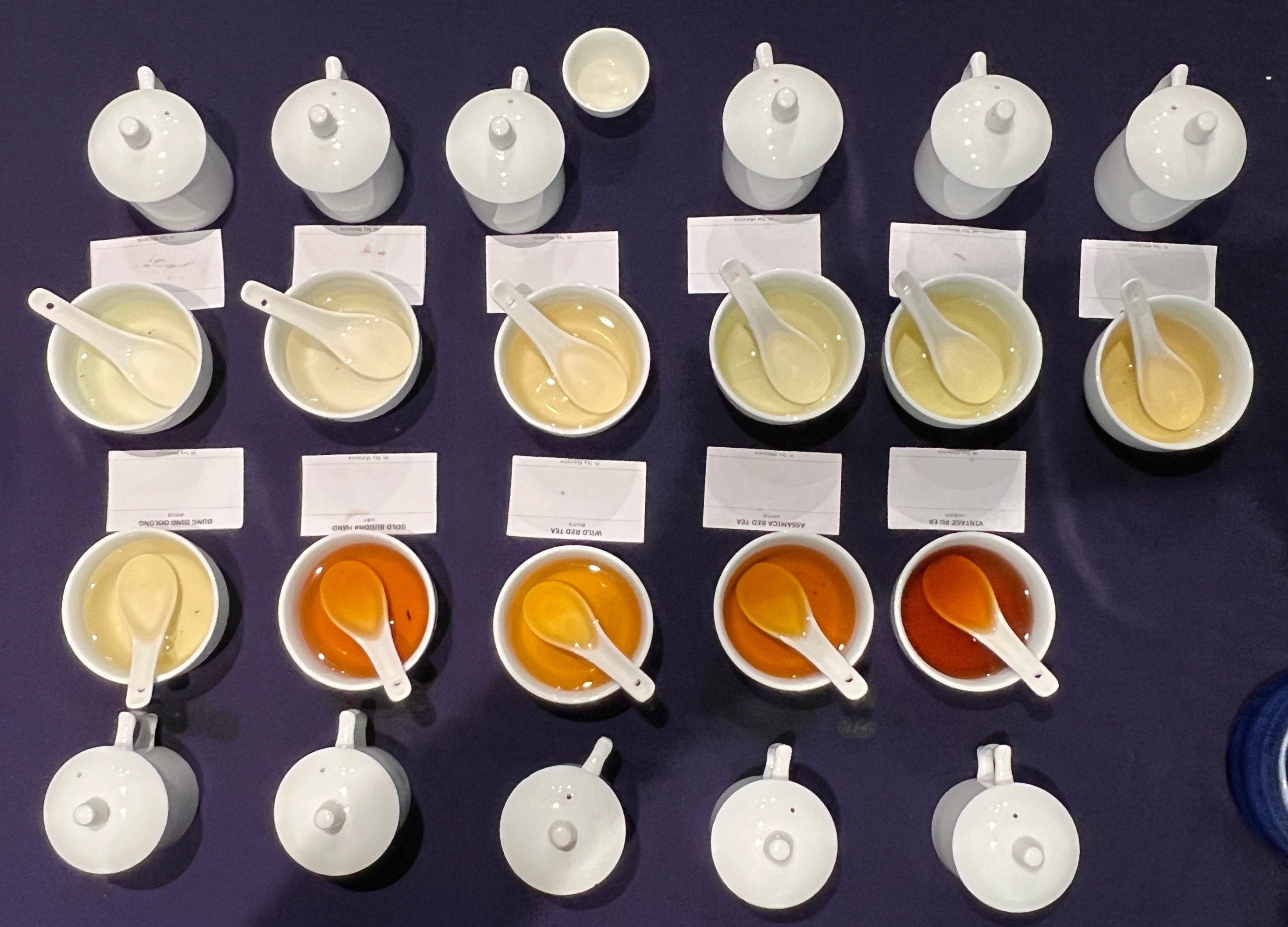 Intermediate Tea Class 中阶茶学