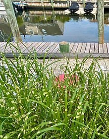 Lagoon Living in Normandy Beach