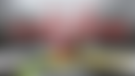 フェーズ3【生活道路の緊急排雪】と幹と枝