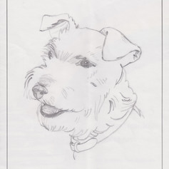 OUTLINES - Dog 2