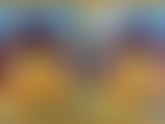 Look what Arrived TODAY!