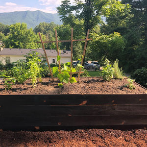 Raised Beds