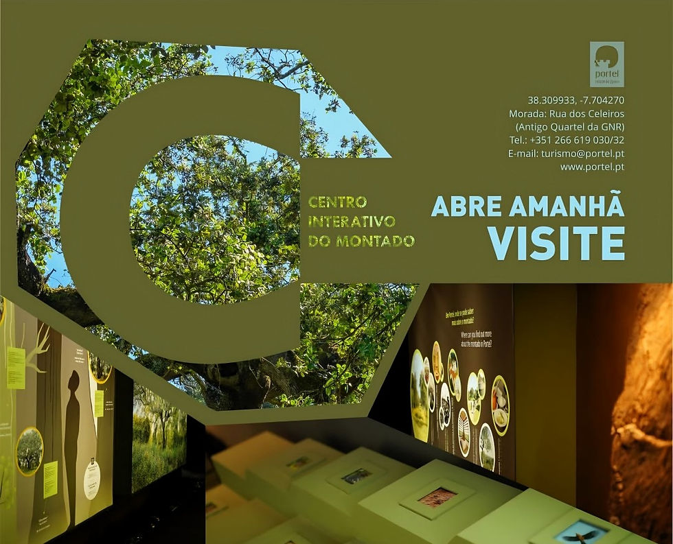 INTERACTIVE MONTADO CENTER OPENING