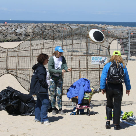 O MAR NÃO TEM LIMITES FOR BLUE FLAG