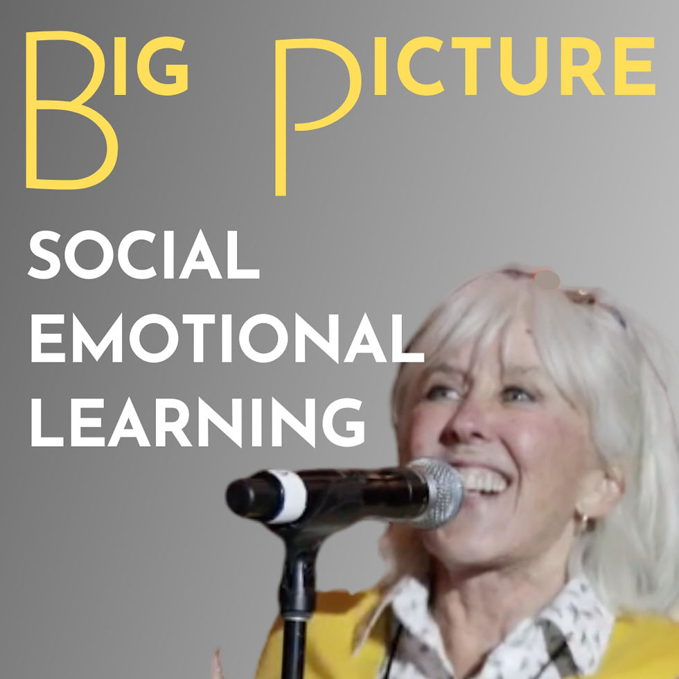 Big Picture Social Emotional Learning Logo: a middle aged woman with short blond hair smiling and speaking into a standing microphone