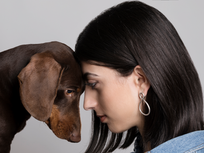 Do You or Don't You: Pet Trusts for Your Furry, Feathered or Hoofed Companions