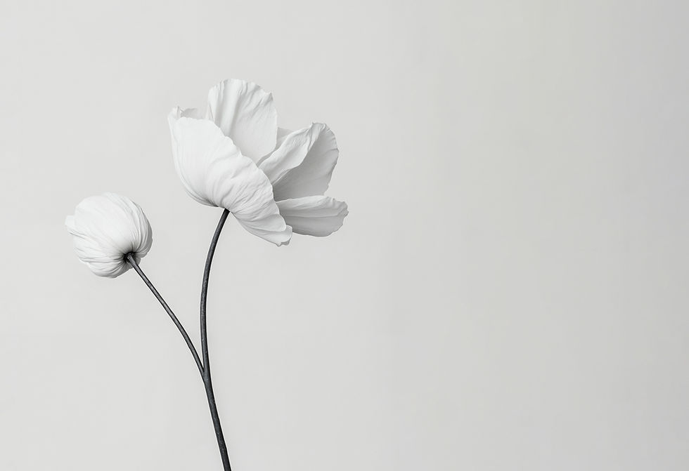 flor-eterea-en-el-estudio blanco negro extendida.jpg