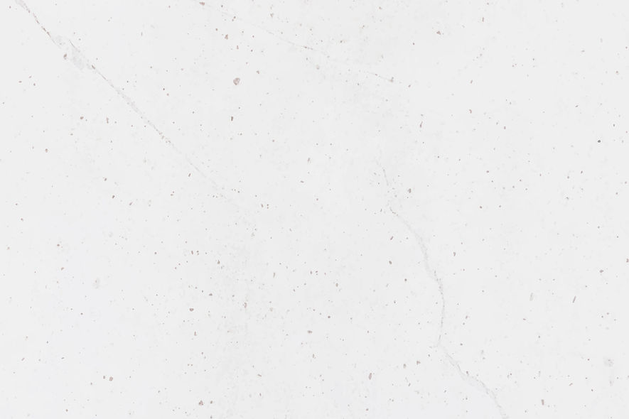 fondo blanco texturado.jpg
