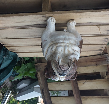 20130712_161646.jpg