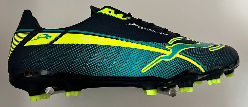 Miniatura: Estilo 3100